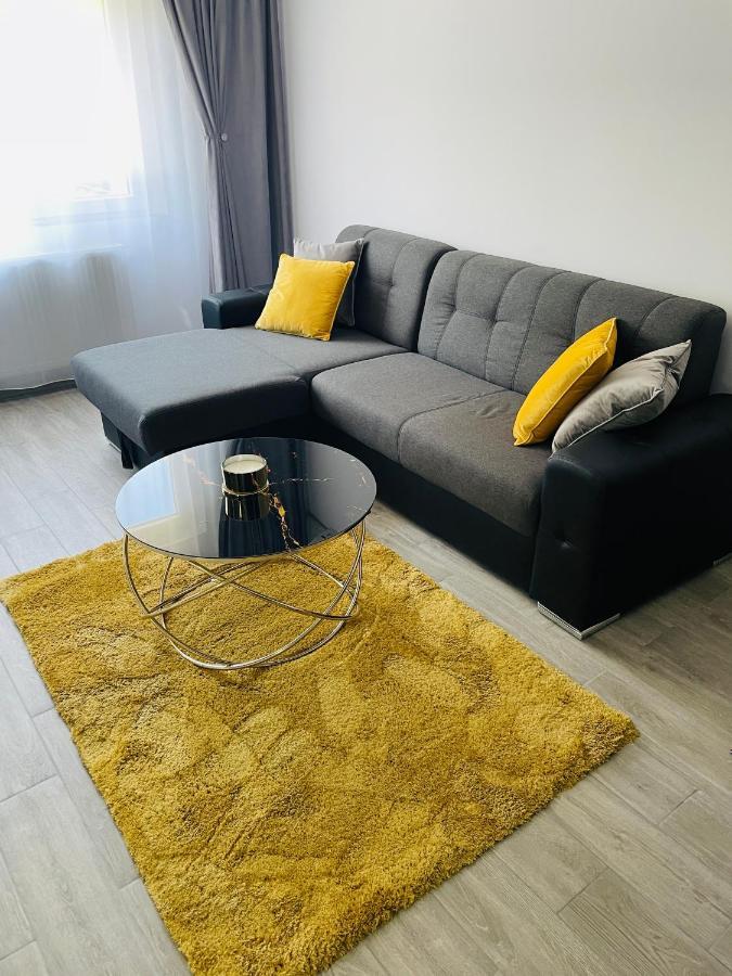Timisoara Central Apartment New Parking !! Eksteriør bilde